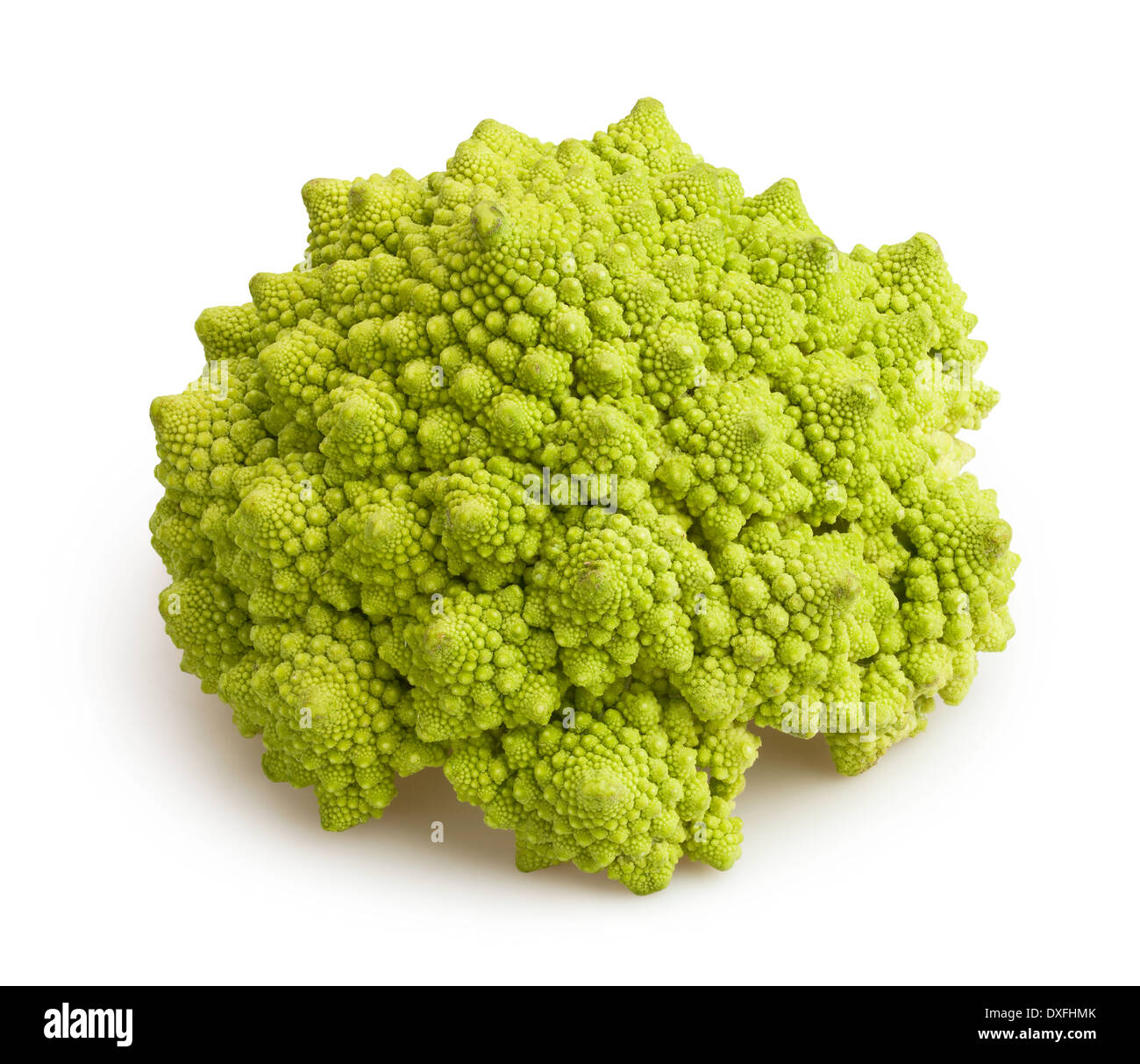 Cavolo broccolo romanesco isolato Foto Stock