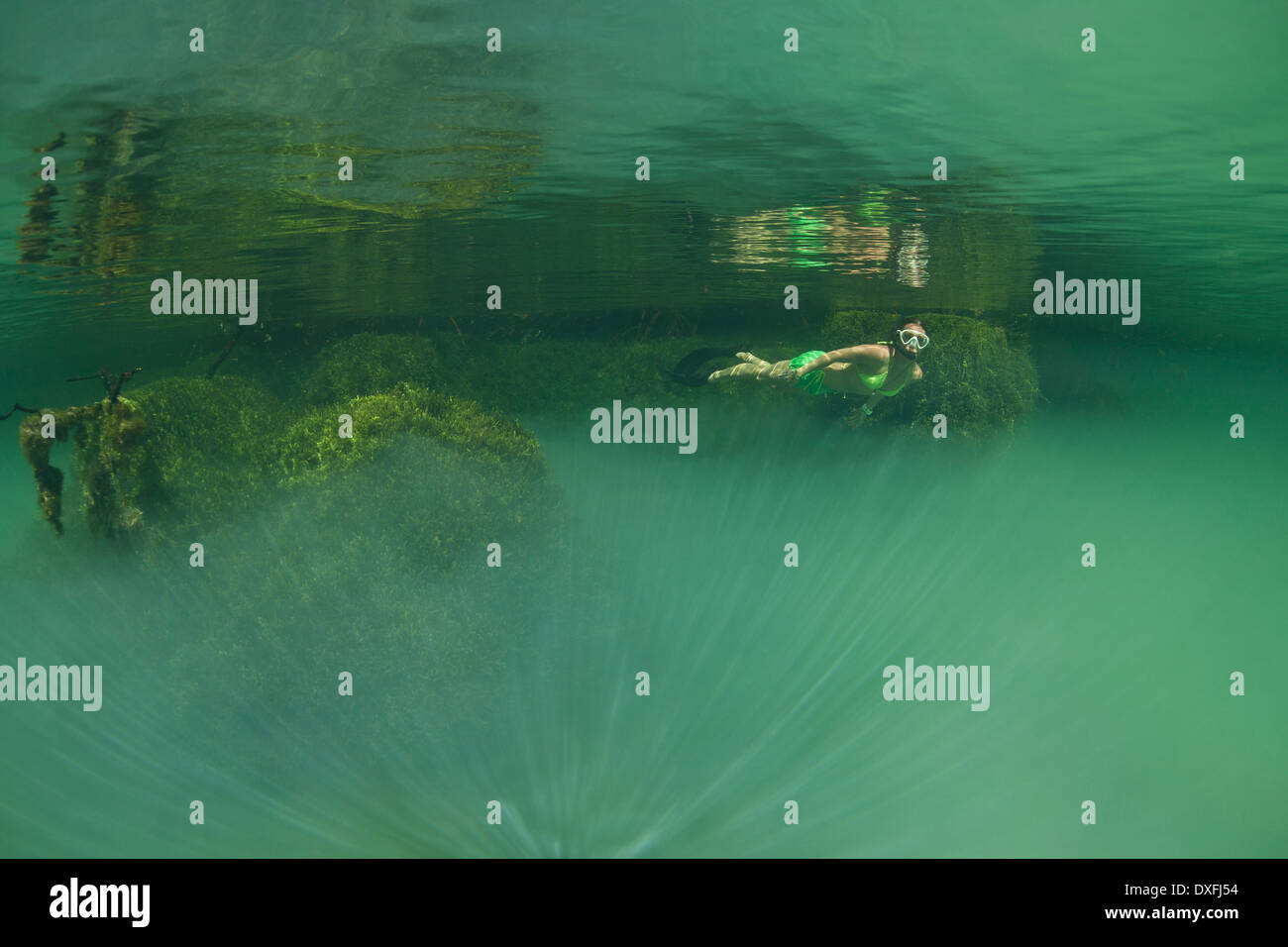 Lo snorkeling in verde lago marino, Raja Ampat, Papua occidentale, in Indonesia Foto Stock