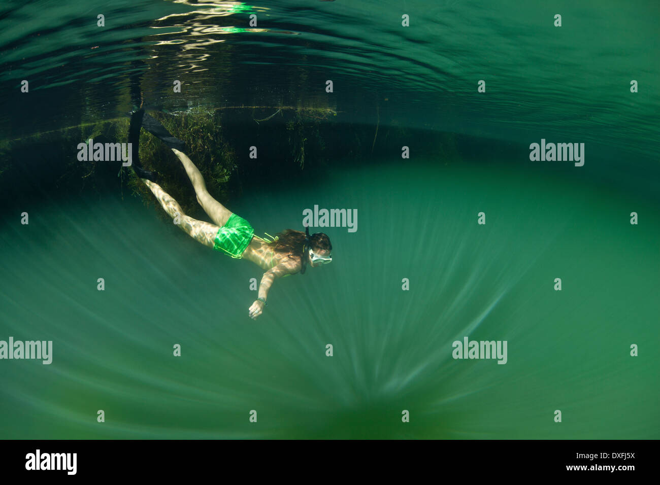 Lo snorkeling in verde lago marino, Raja Ampat, Papua occidentale, in Indonesia Foto Stock