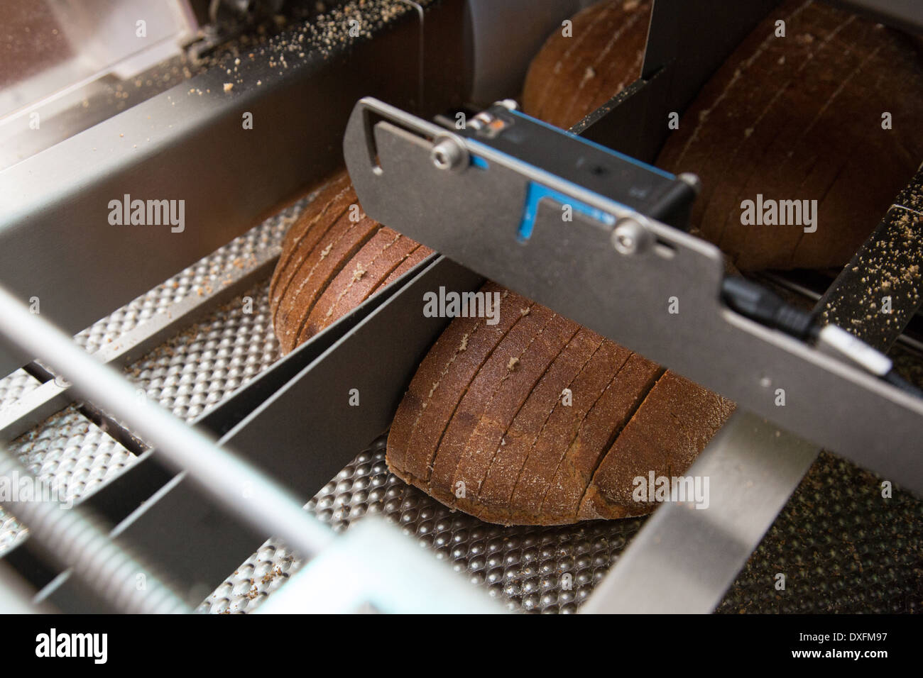 Fresca pane marrone con polpettine su una fabbrica di linea di taglio Foto Stock