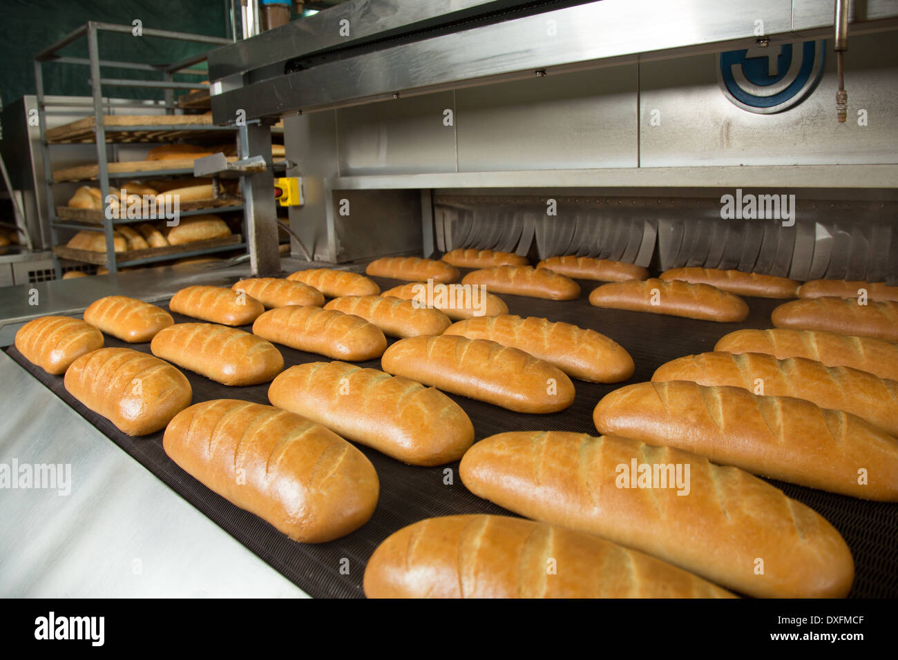 Calda fresca pasta di pane cotto al forno con polpettine sulla linea di produzione Foto Stock