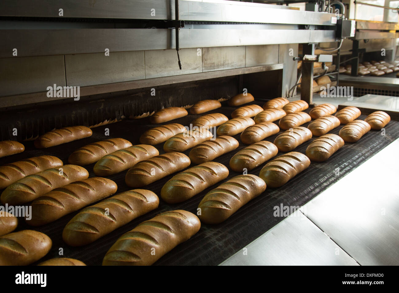 Calda fresca pasta di pane cotto al forno con polpettine sulla linea di produzione Foto Stock