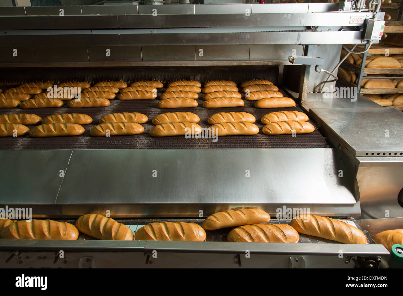 Calda fresca pasta di pane cotto al forno con polpettine sulla linea di produzione Foto Stock