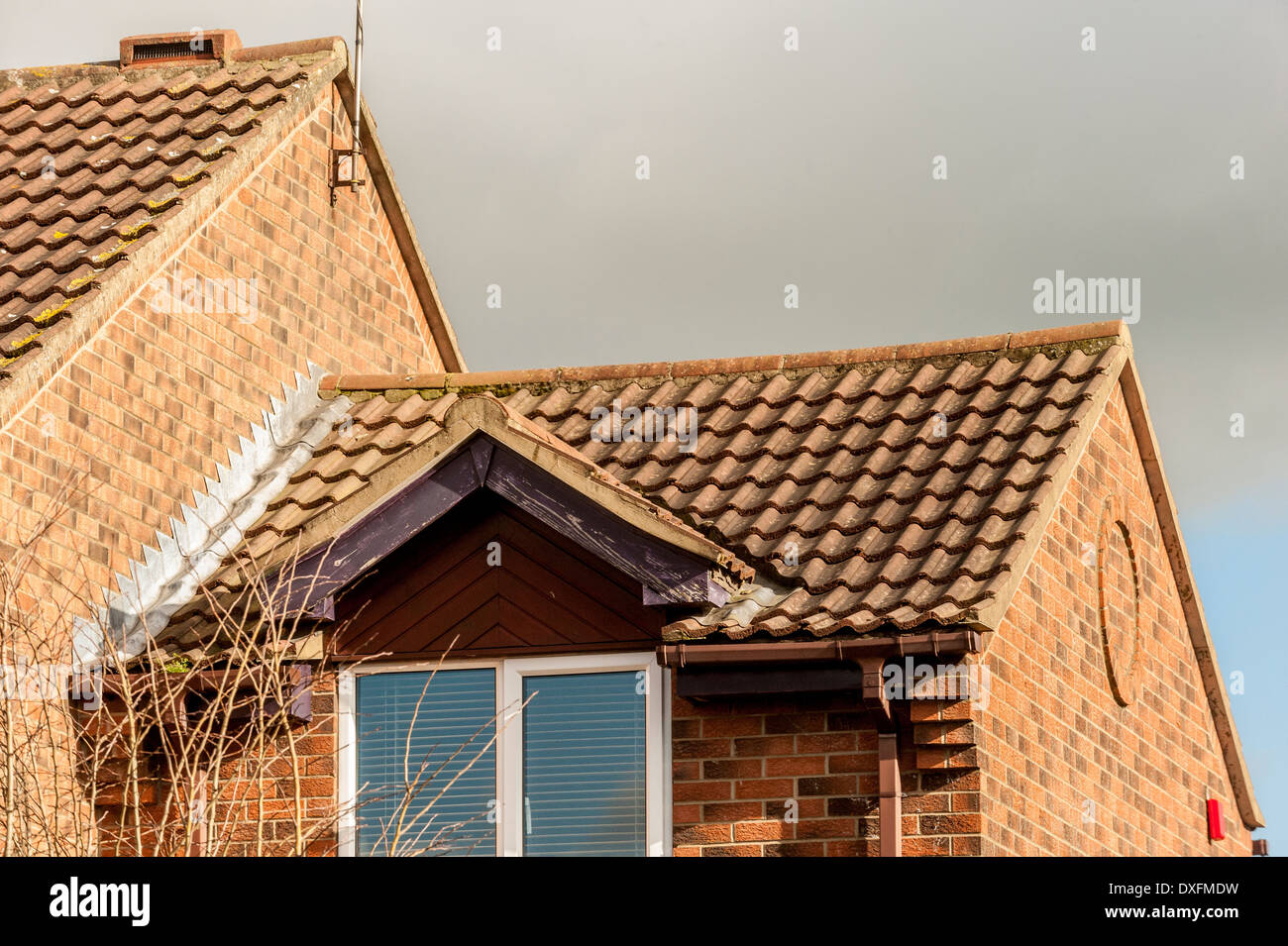 Domestico Standard tetto di tegole sulla casa. Foto Stock