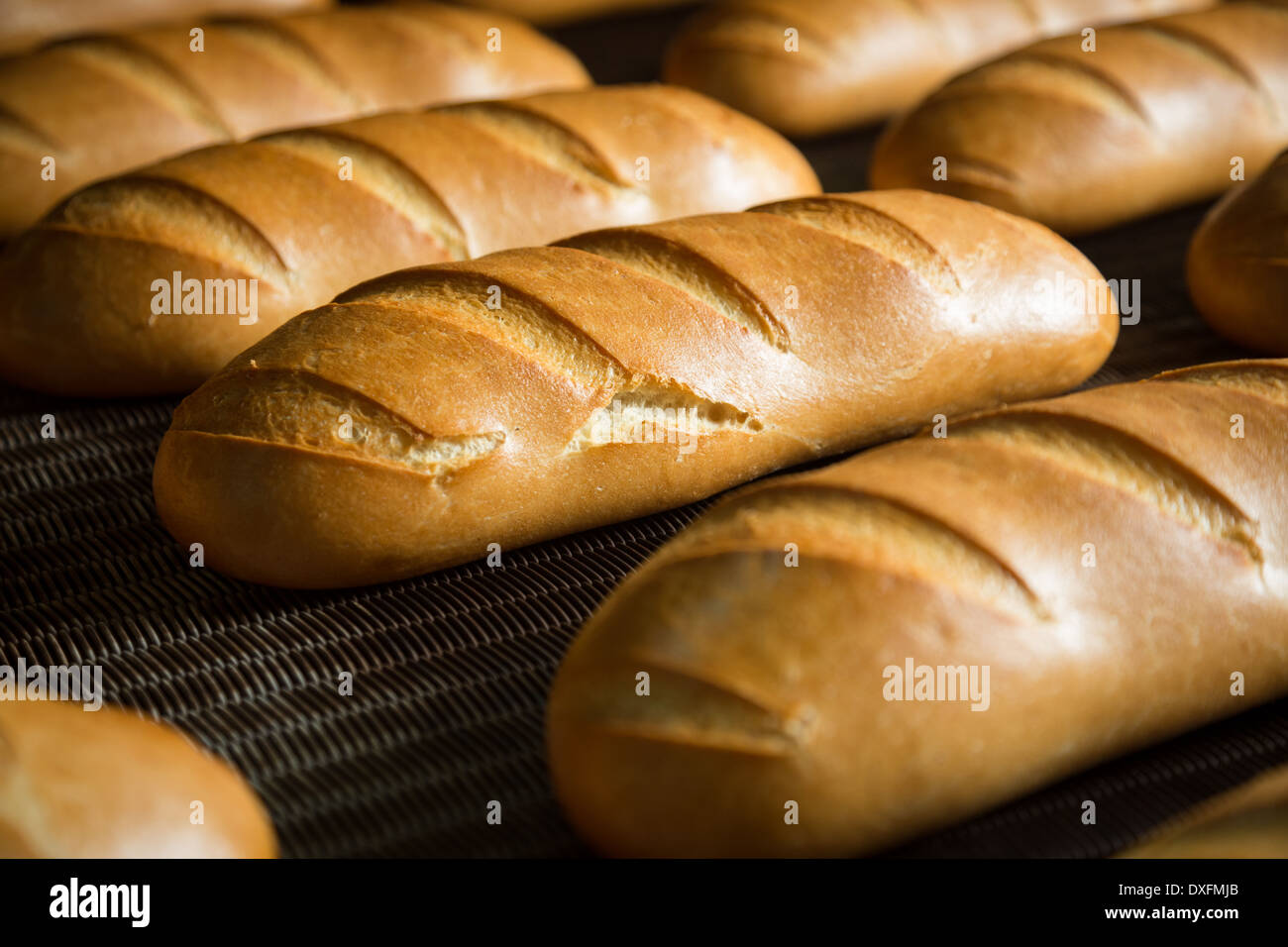 Calda fresca pasta di pane cotto al forno con polpettine sulla linea di produzione Foto Stock