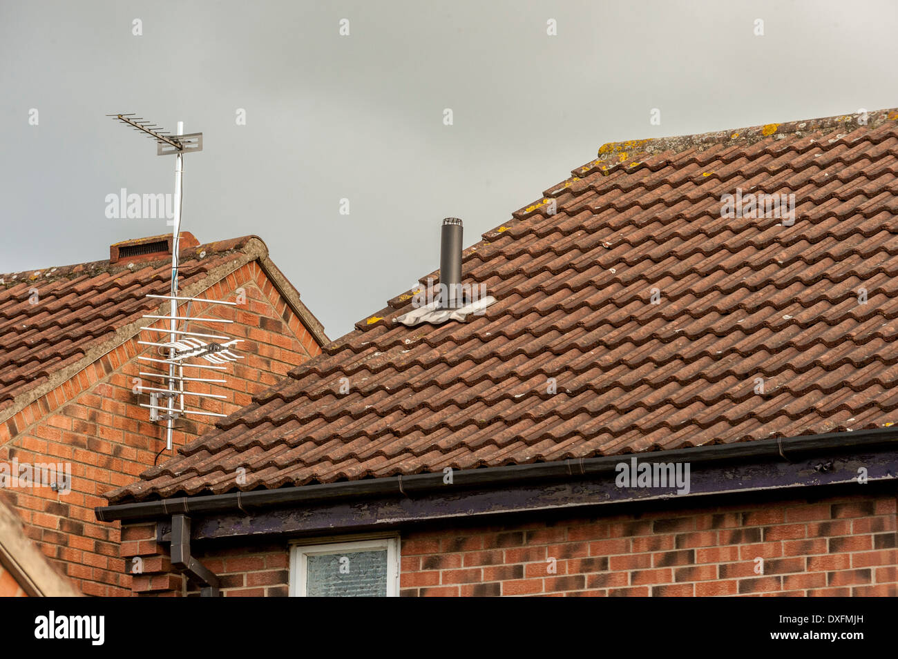 Domestico Standard tetto di tegole sulla casa. Foto Stock