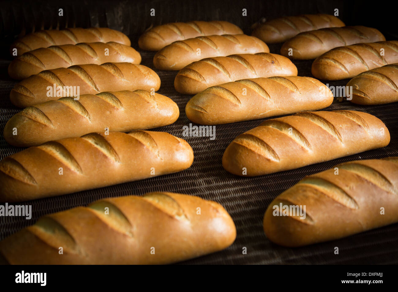 Calda fresca pasta di pane cotto al forno con polpettine sulla linea di produzione Foto Stock