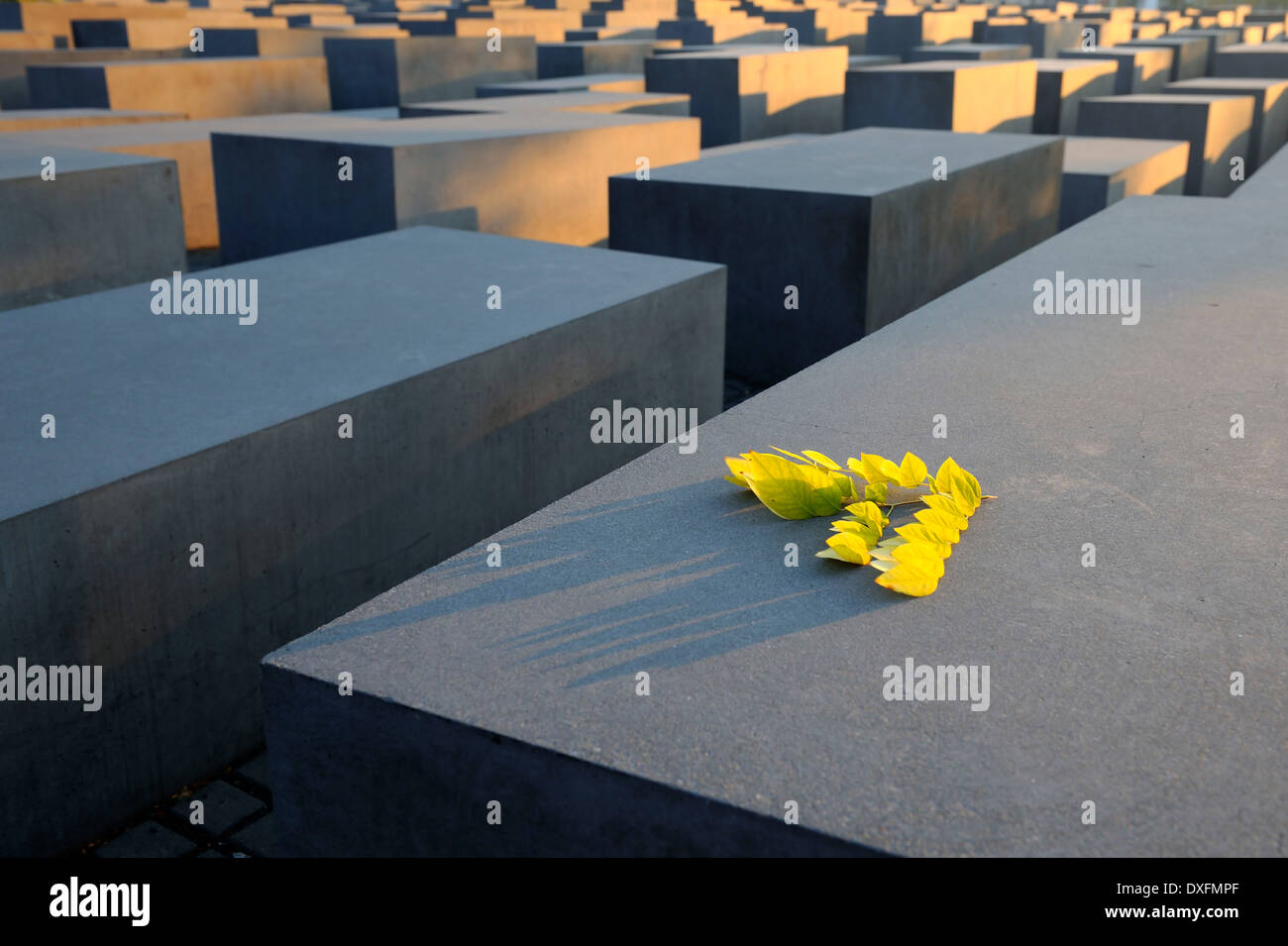 Il memoriale dell'olocausto all'assassinato ebrei d'Europa, campo di stele, progettato dall'architetto Peter Eisenman, Berlino, Germania Foto Stock