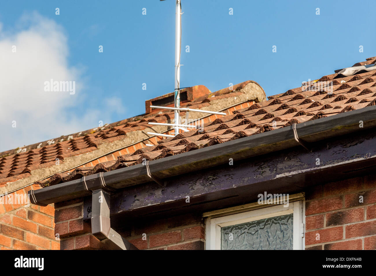 Domestico Standard tetto di tegole in casa con grondaie e fascia board nel bisogno di pittura. Foto Stock