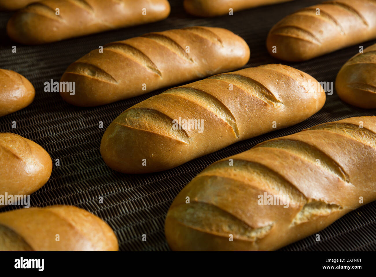 Calda fresca pasta di pane cotto al forno con polpettine sulla linea di produzione Foto Stock