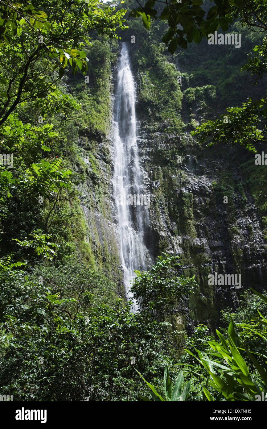 400 piedi Waimoku Falls in Haleakala National Park vicino a Hana, Maui. Foto Stock
