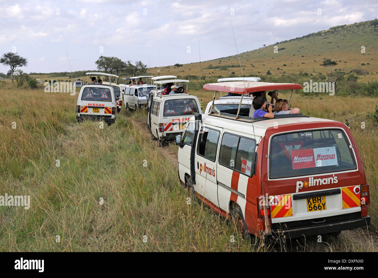 Safari vetture con i turisti, il Masai Mara riserva di gioco, Kenya Foto Stock