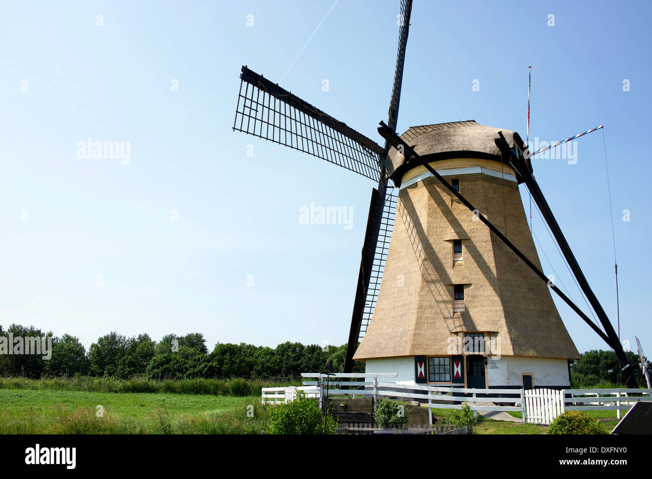 Mulini a vento olandese lungo de 'Rottemeren' in Bleiswijk, Olanda Foto Stock