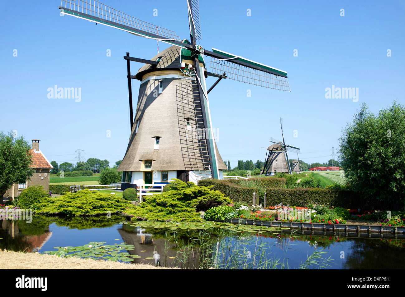 Mulini a vento olandese lungo de 'Rottemeren' in Bleiswijk, Olanda Foto Stock