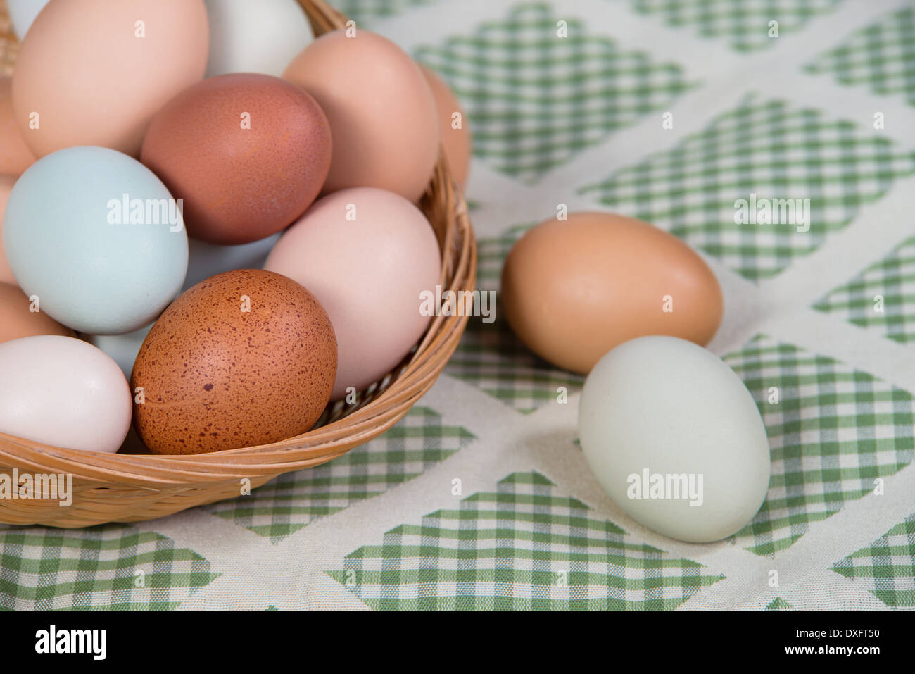 Assortimento di diverso colore, freschi, uova di pollo in un cestello. Una sfumatura di verde cucina tessile, country kitchen sfondo stile. Foto Stock Assortimento di diverso colore, freschi, uova di pollo in un cestello. Una sfumatura di verde cucina tessile, country kitchen sfondo stile. Foto Stock