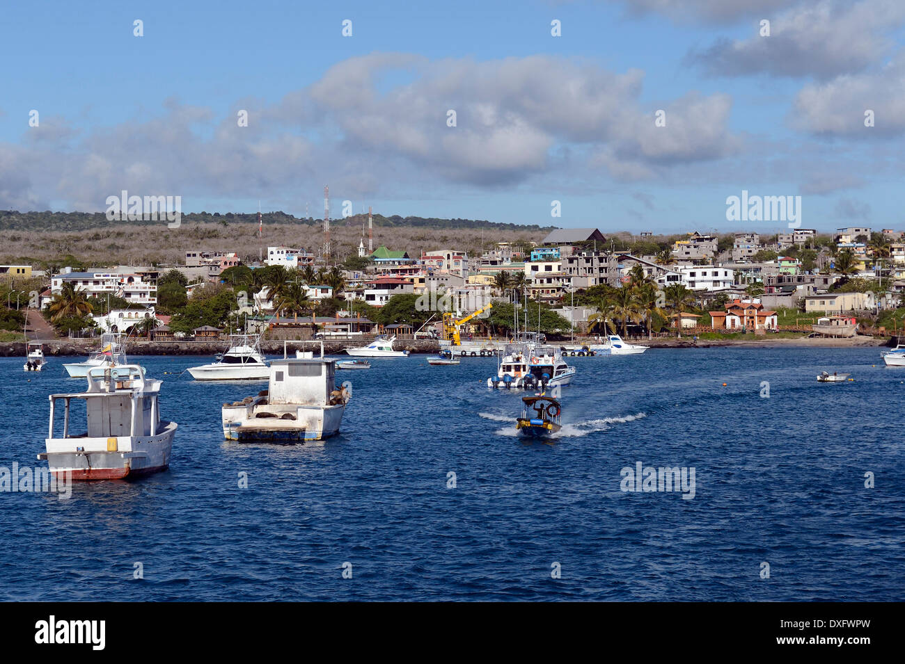 Porto, Puerto Baquerizo Moreno, San Cristobal Island, Isole Galapagos, Ecuador Foto Stock