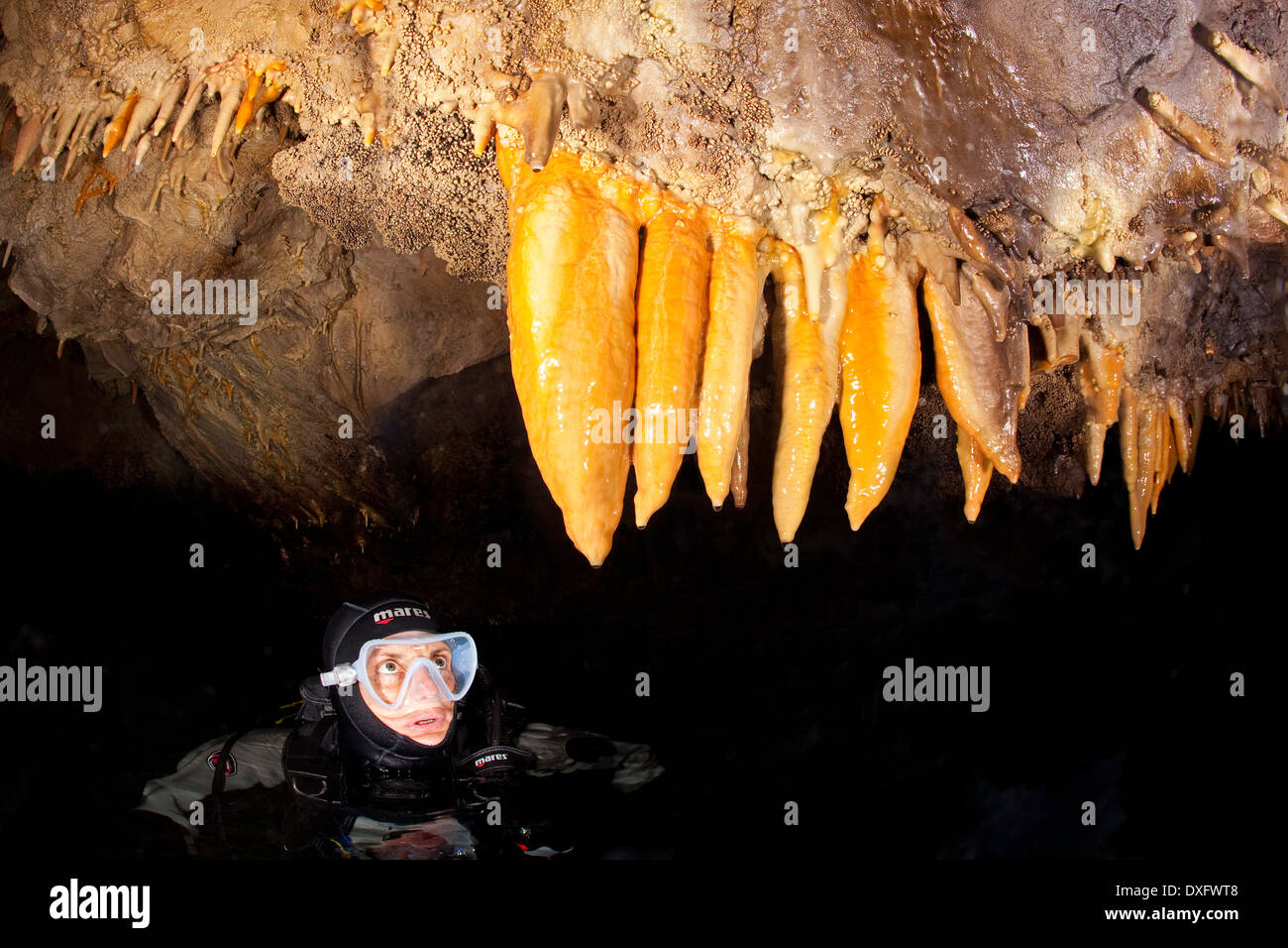 Subacqueo e stalattiti all'interno di Jabuka Grotta, Kolocep, Dubrovnik, Mare Adriatico, Croazia Foto Stock