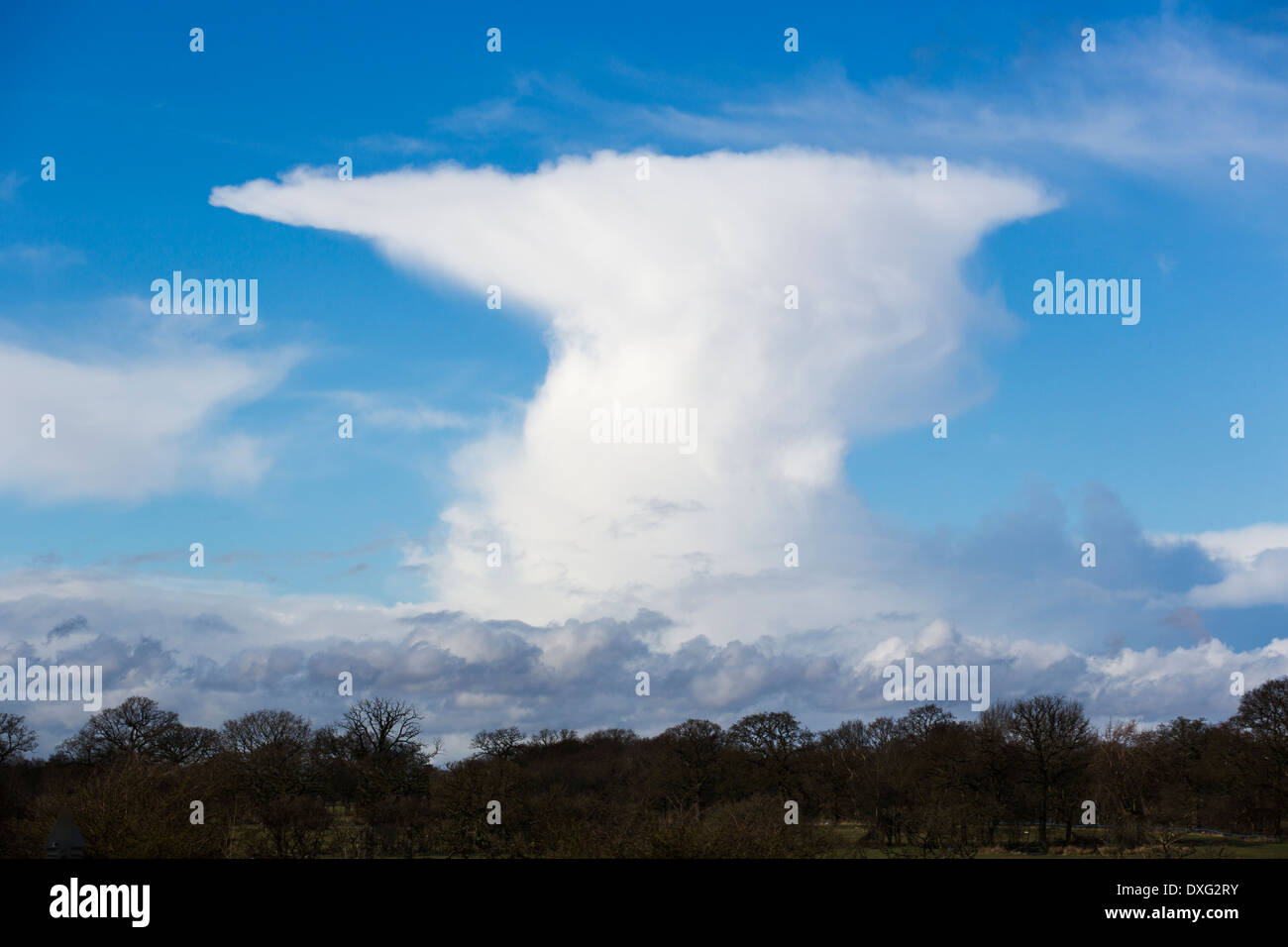 Un tipico cumulonimbus o incudine nube su Birmingham, Regno Unito Foto Stock