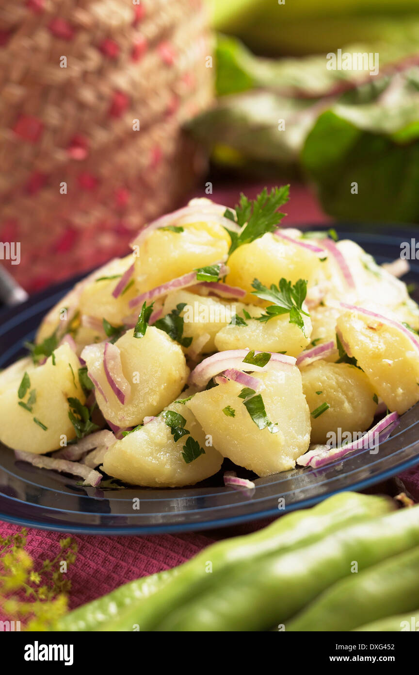 Piatto di insalata di patate con prezzemolo e cipolla rossa Foto Stock