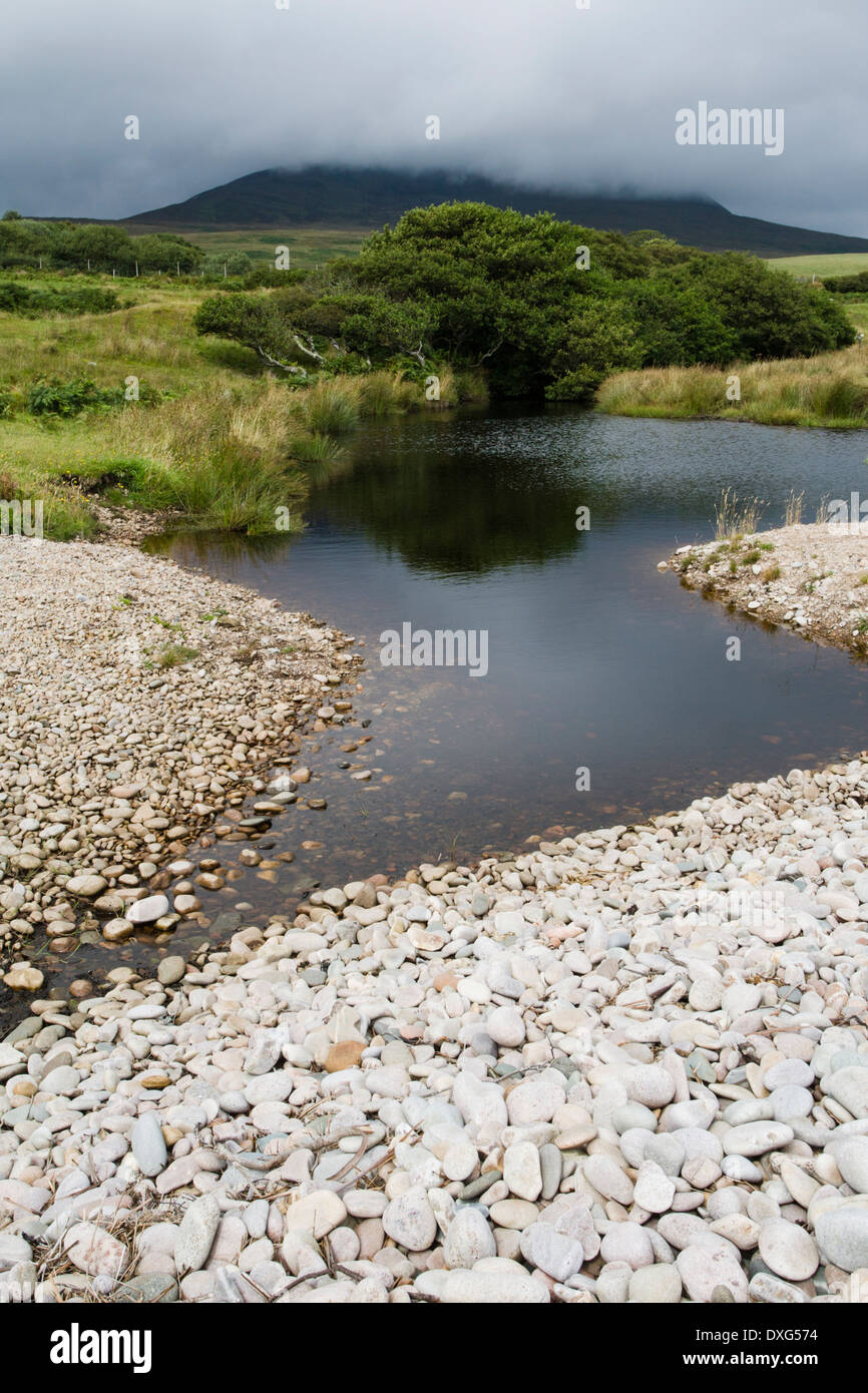 Piccola laguna, Claggain Bay, Isle of Islay, Scozia Foto Stock