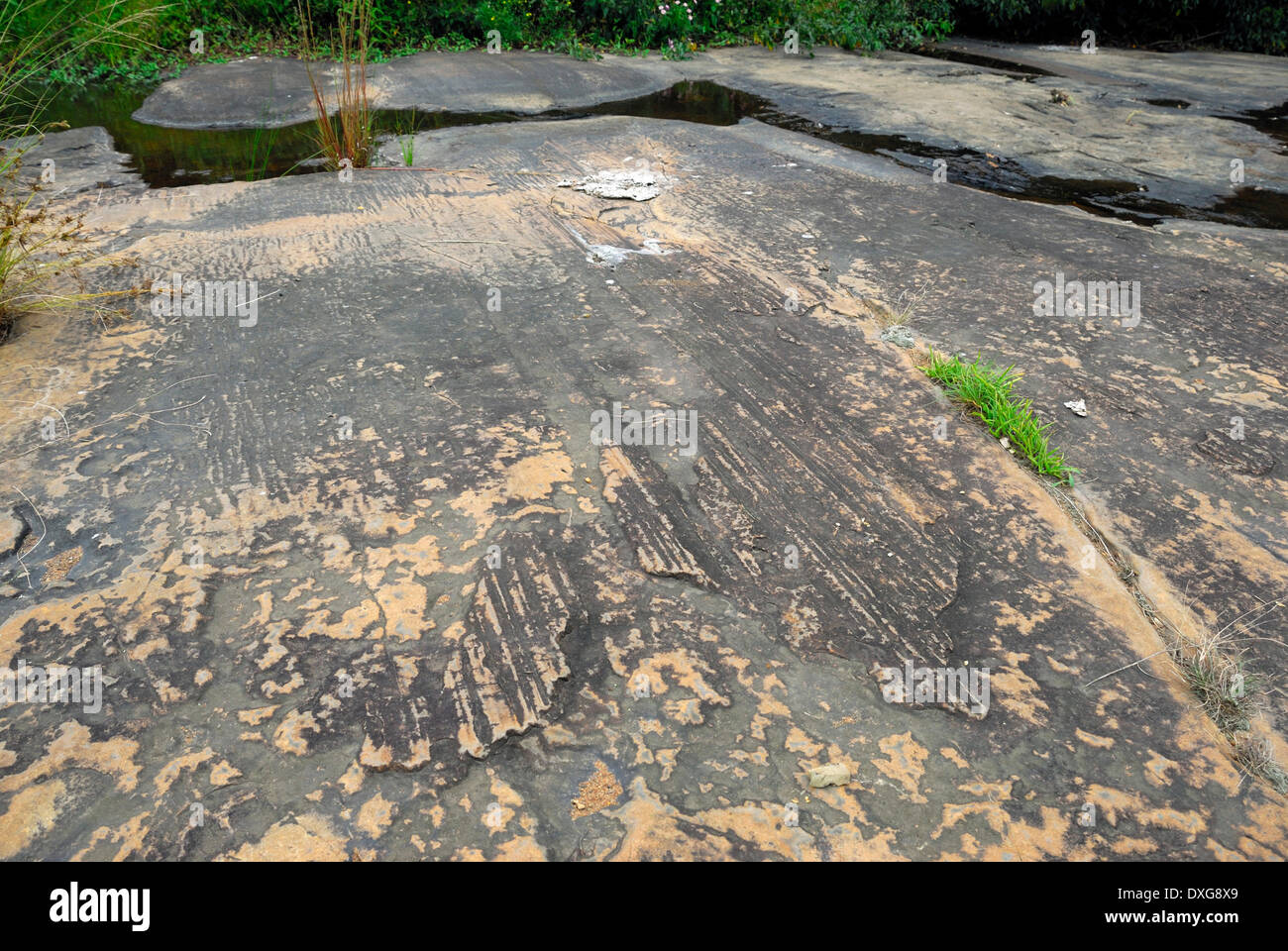 Striature glaciale sulla sommità del Natal gruppo superficie di pietra arenaria, causato dal movimento del ghiaccio e massi circa 300 milioni di anni un Foto Stock