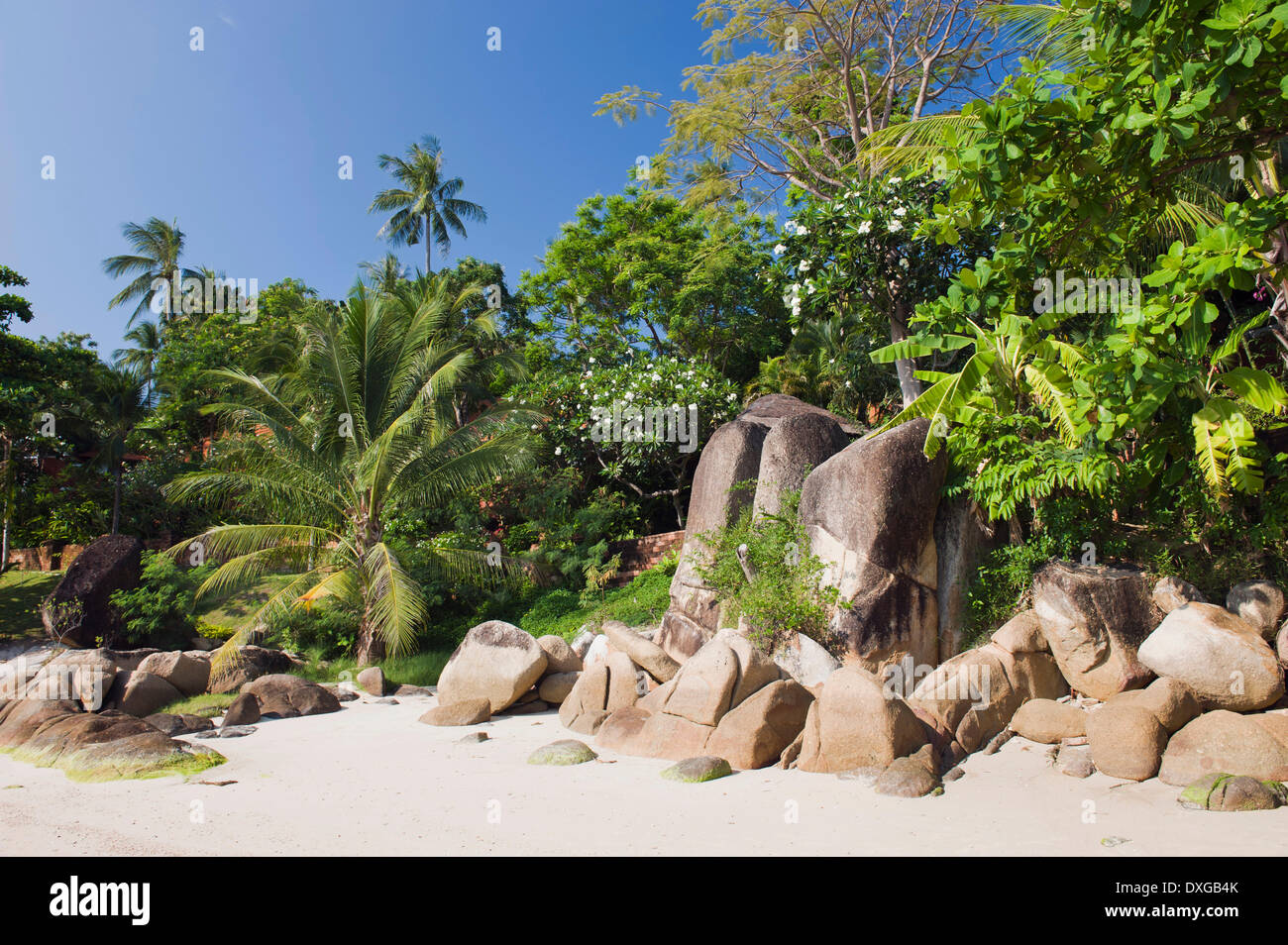 Spiaggia di sabbia con rocce granitiche, Lamai Beach, Koh Samui, Thailandia Foto Stock