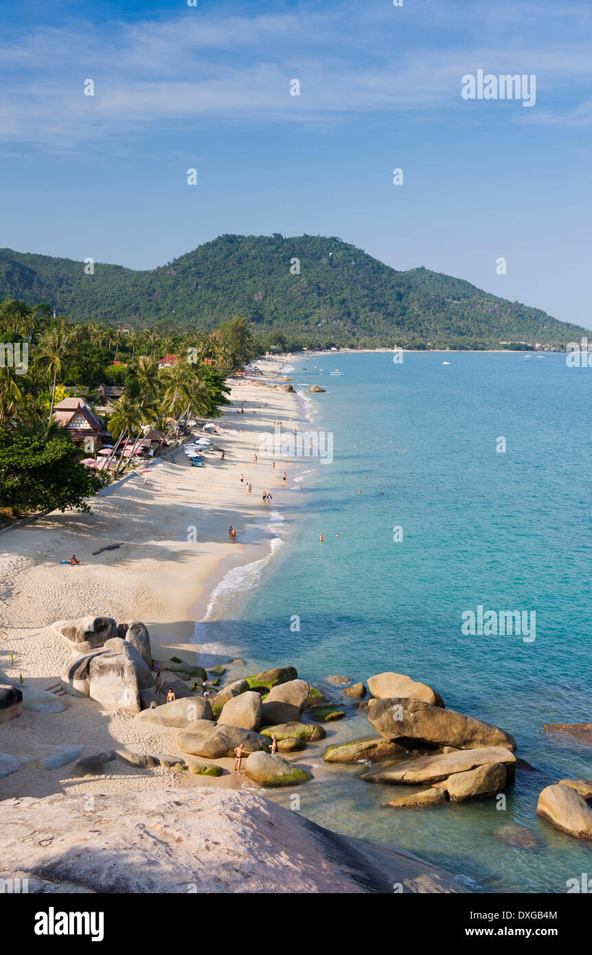 Spiaggia con palme, Lamai Beach, Koh Samui, Thailandia Foto Stock