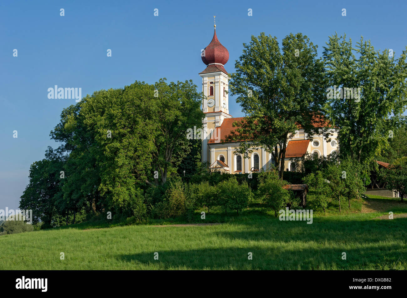 Controllata la chiesa di San Pietro e Paolo con cupola a cipolla, Kirchberg, Alta Baviera, Baviera, Germania Foto Stock
