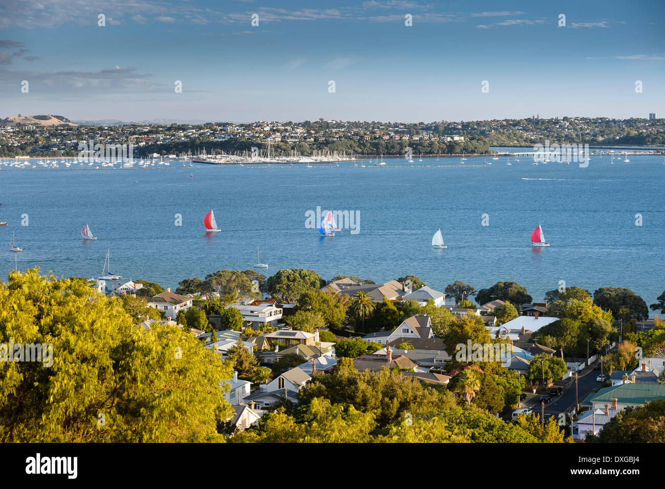 Barche a vela a Porto Waitemata di Auckland, Isola del nord, Nuova Zelanda Foto Stock