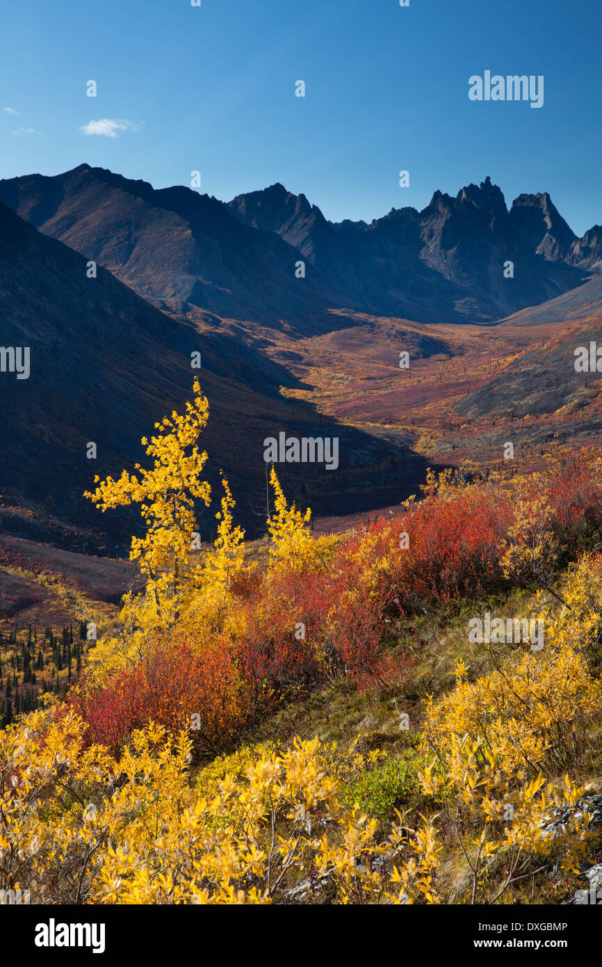 Oggetto contrassegnato per la rimozione definitiva di montagna e la tomaia Grizzly Creek in autunno, Lapide parco territoriale, Yukon Territori, Canada Foto Stock