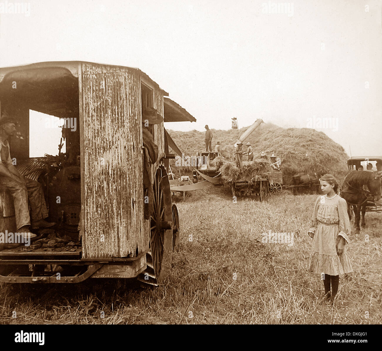 La trebbiatura di avena Illinois USA primi 1900s Foto Stock
