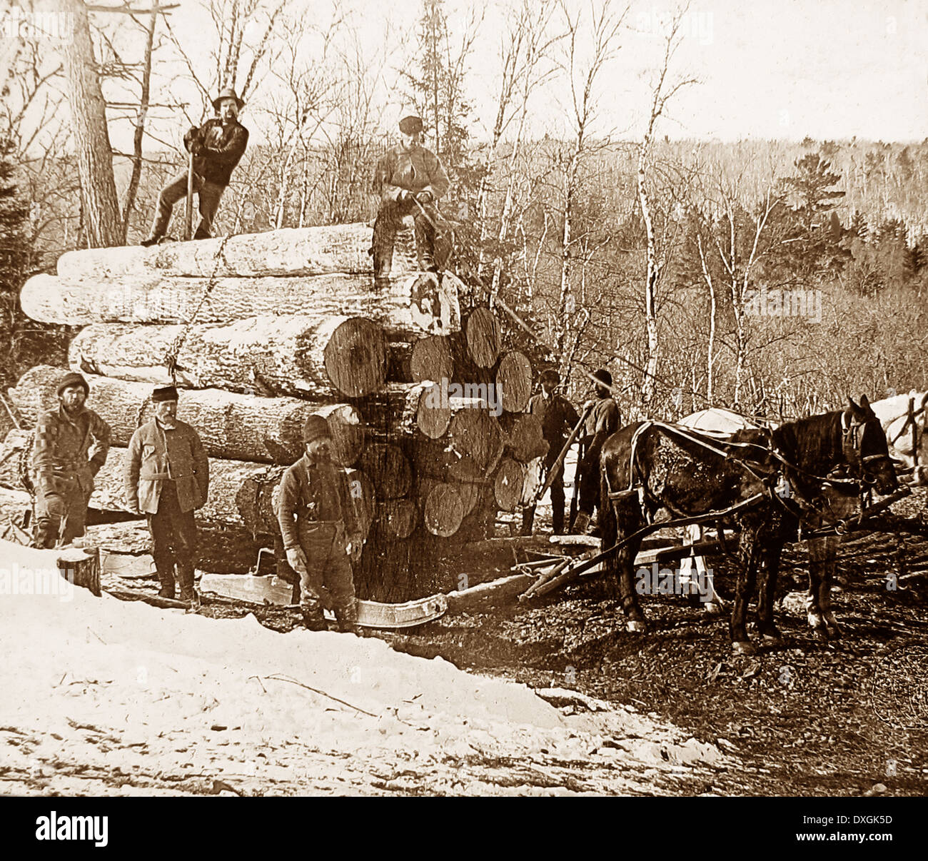 I registri di traino bollitore atterraggio sul fiume Minnesota USA primi 1900s Foto Stock