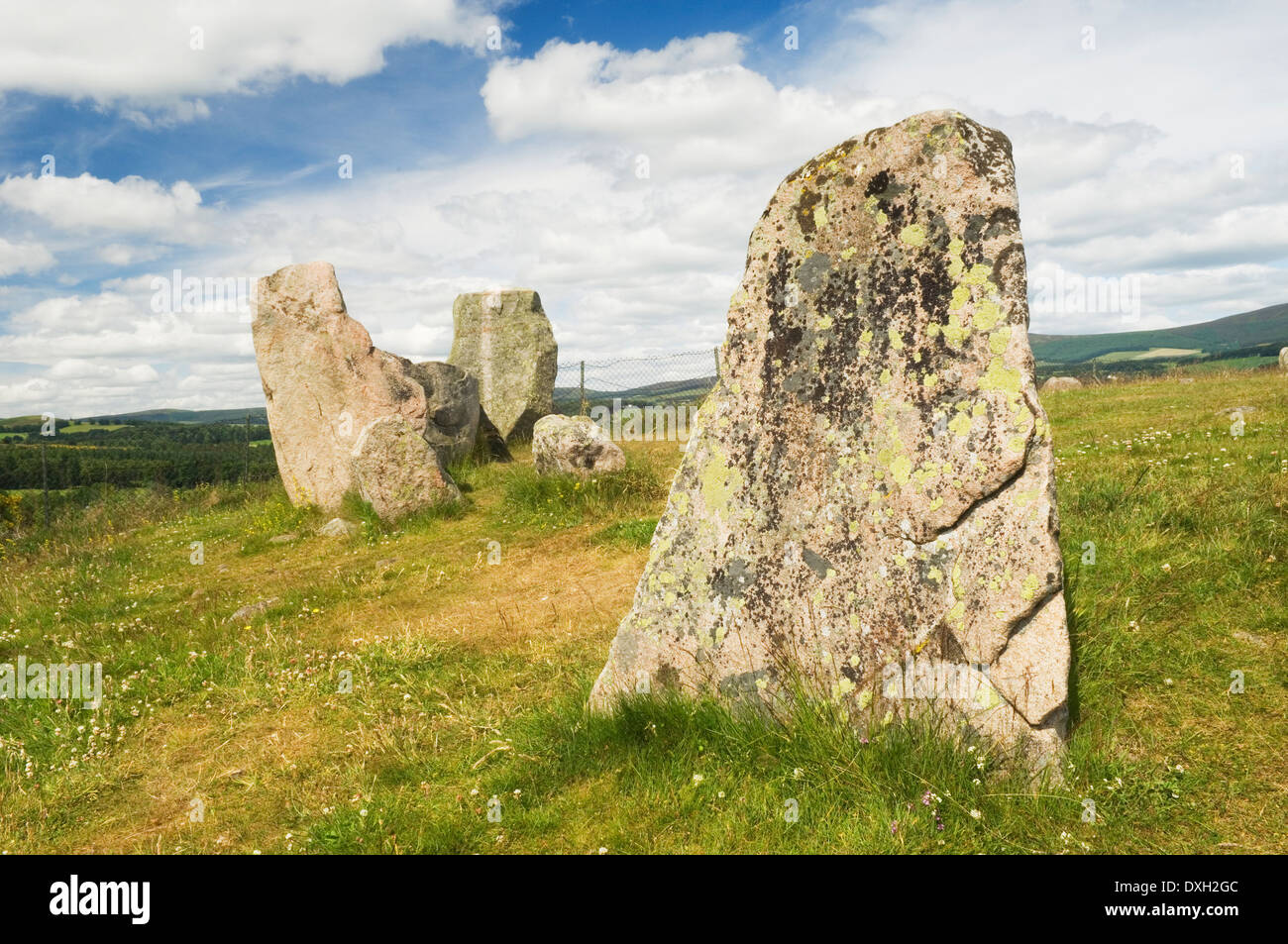 Tomnaverie cerchio di pietra vicino Tarland, Aberdeenshire, Scozia. Foto Stock