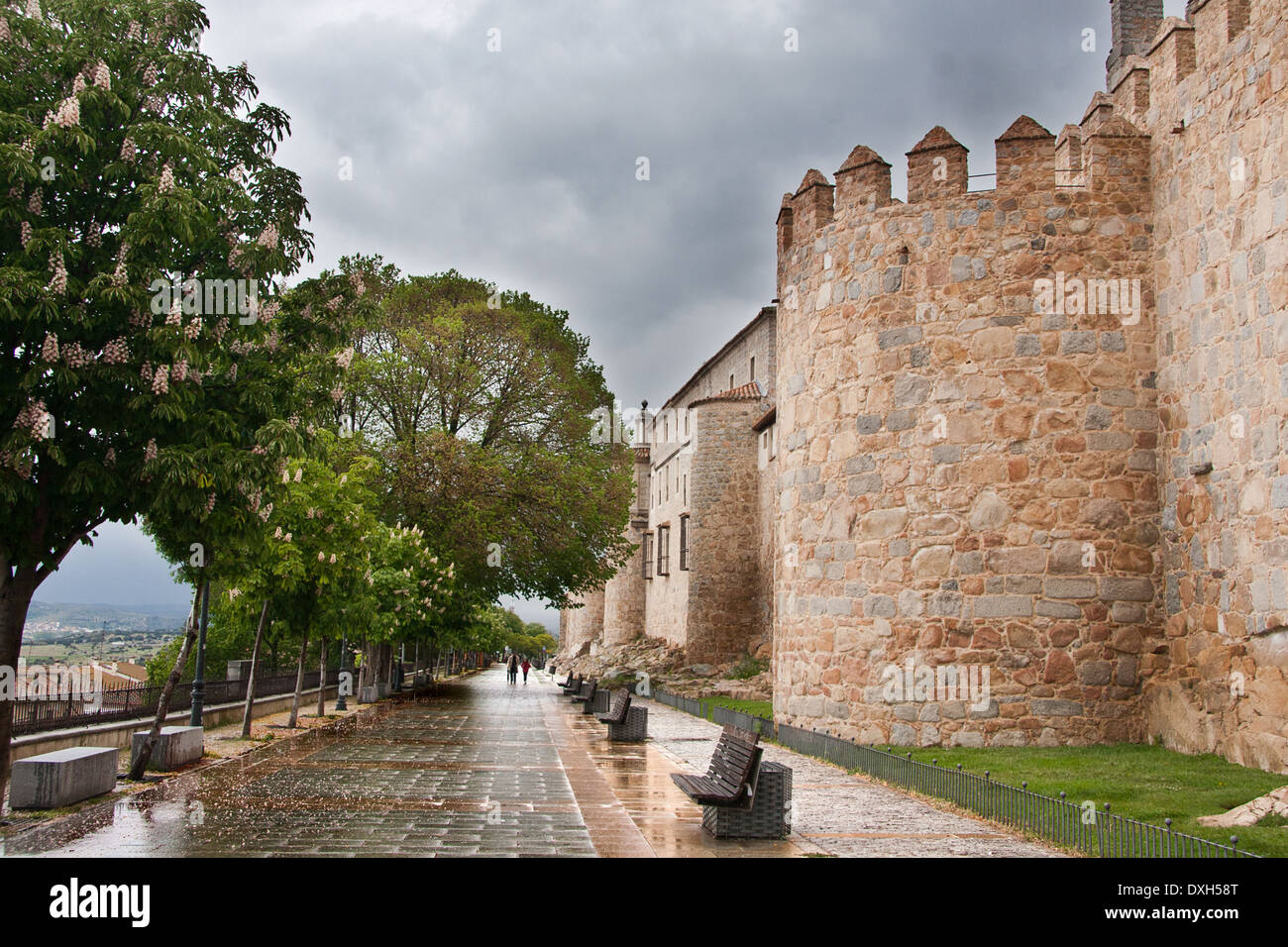 Tratto di parete di Avila, Patrimonio Mondiale dell Unesco Foto Stock