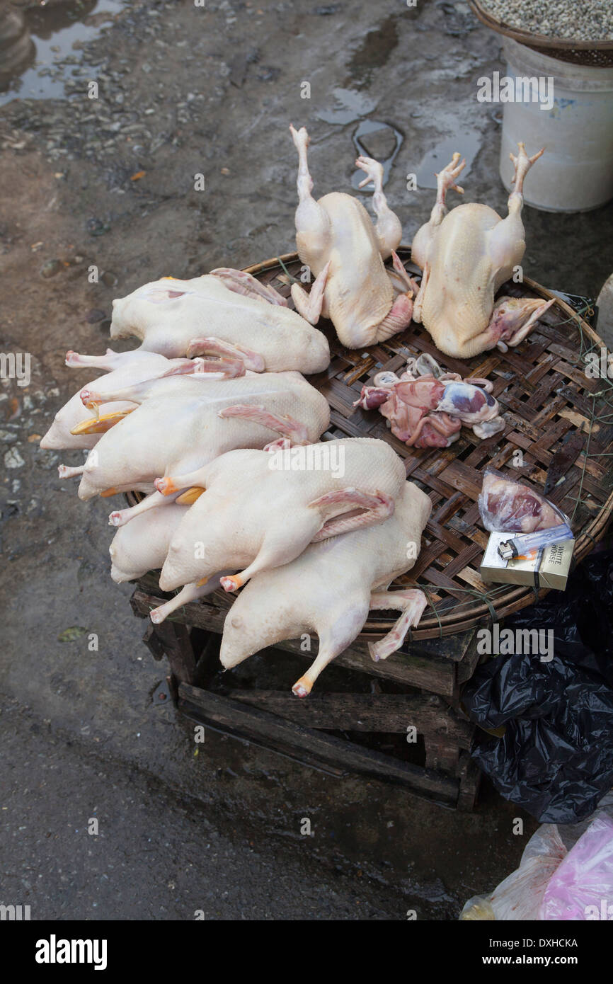 Duck sulla vendita di Dong Ba Market in tinta Foto Stock