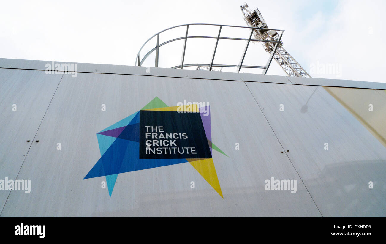 Francis Crick Centro di ricerche biomediche in costruzione San Pancrazio, Camden, London KATHY DEWITT Foto Stock
