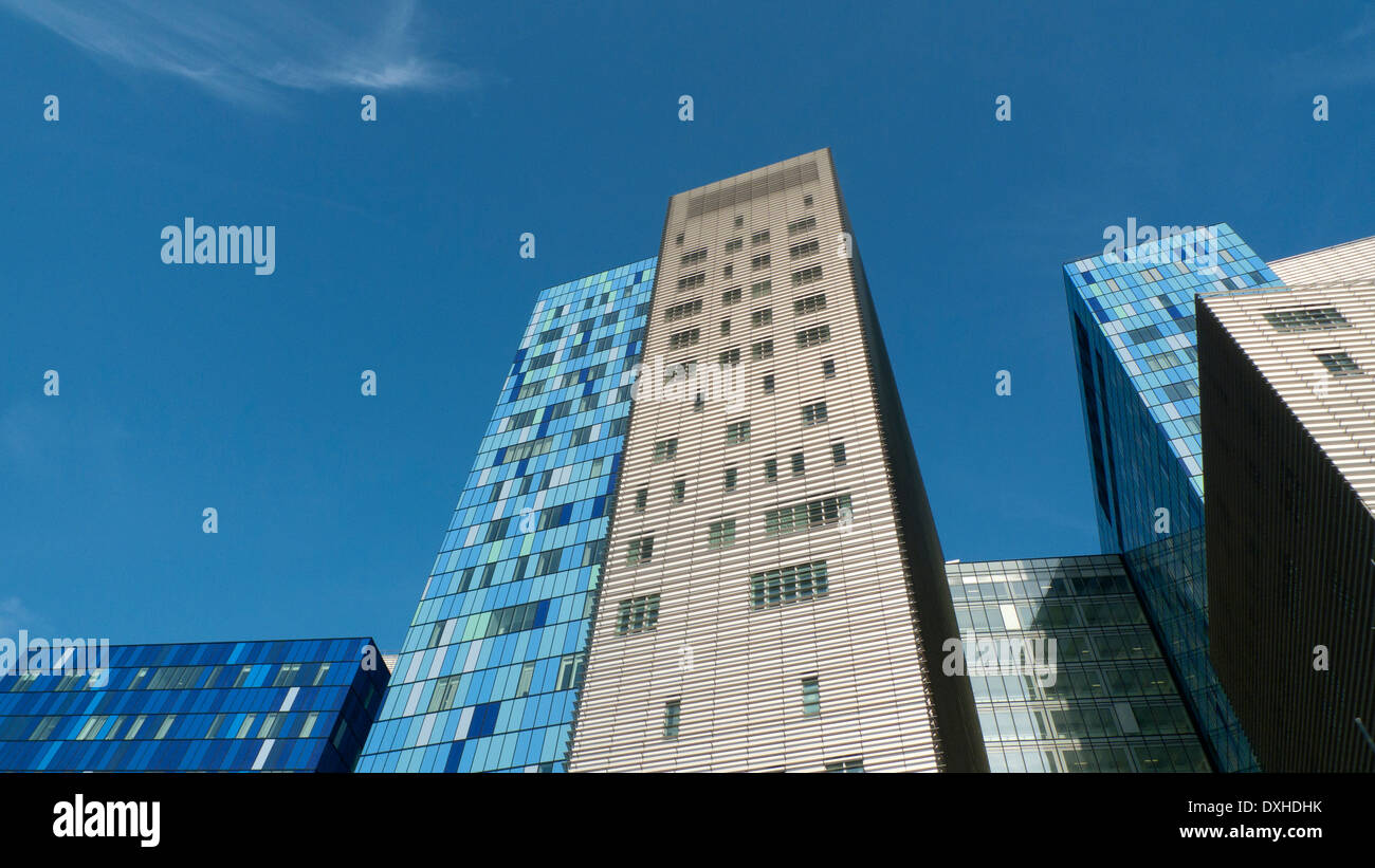 Royal Hospital di Londra a Whitechapel East London, Regno Unito KATHY DEWITT Foto Stock