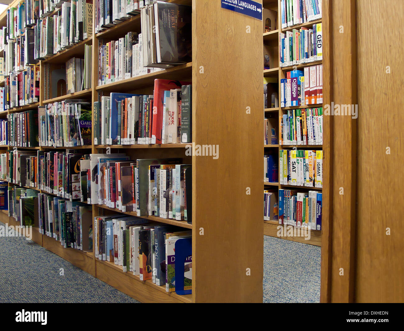 Biblioteca scaffali pieni di libri Foto Stock