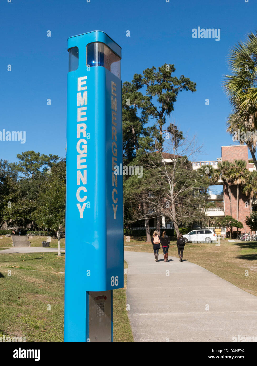 Università di Florida, Gainesville, FL, Stati Uniti d'America Foto Stock
