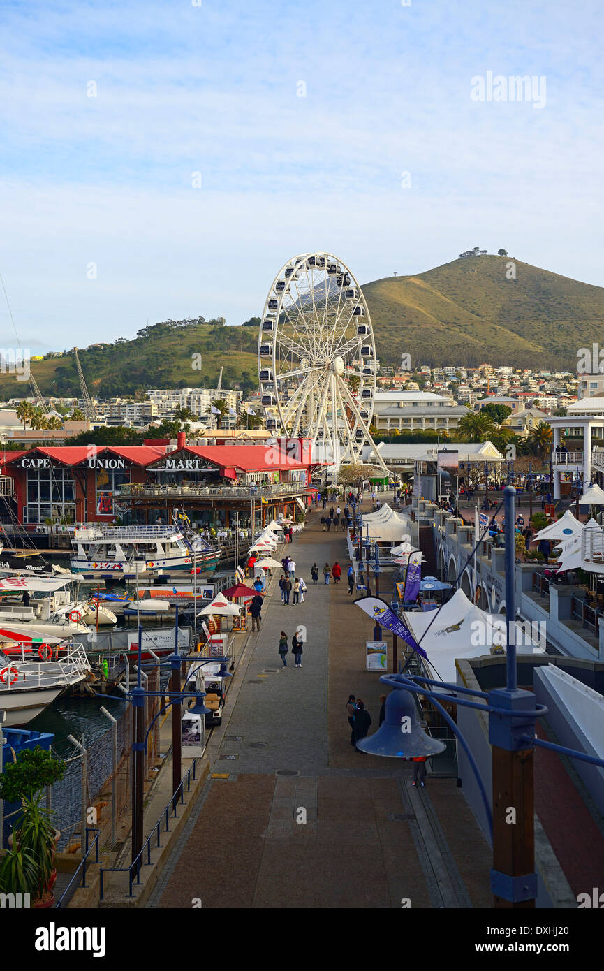 Lungomare Victoria and Alfred e Cape Town, Western Cape, Sud Africa e Africa Foto Stock