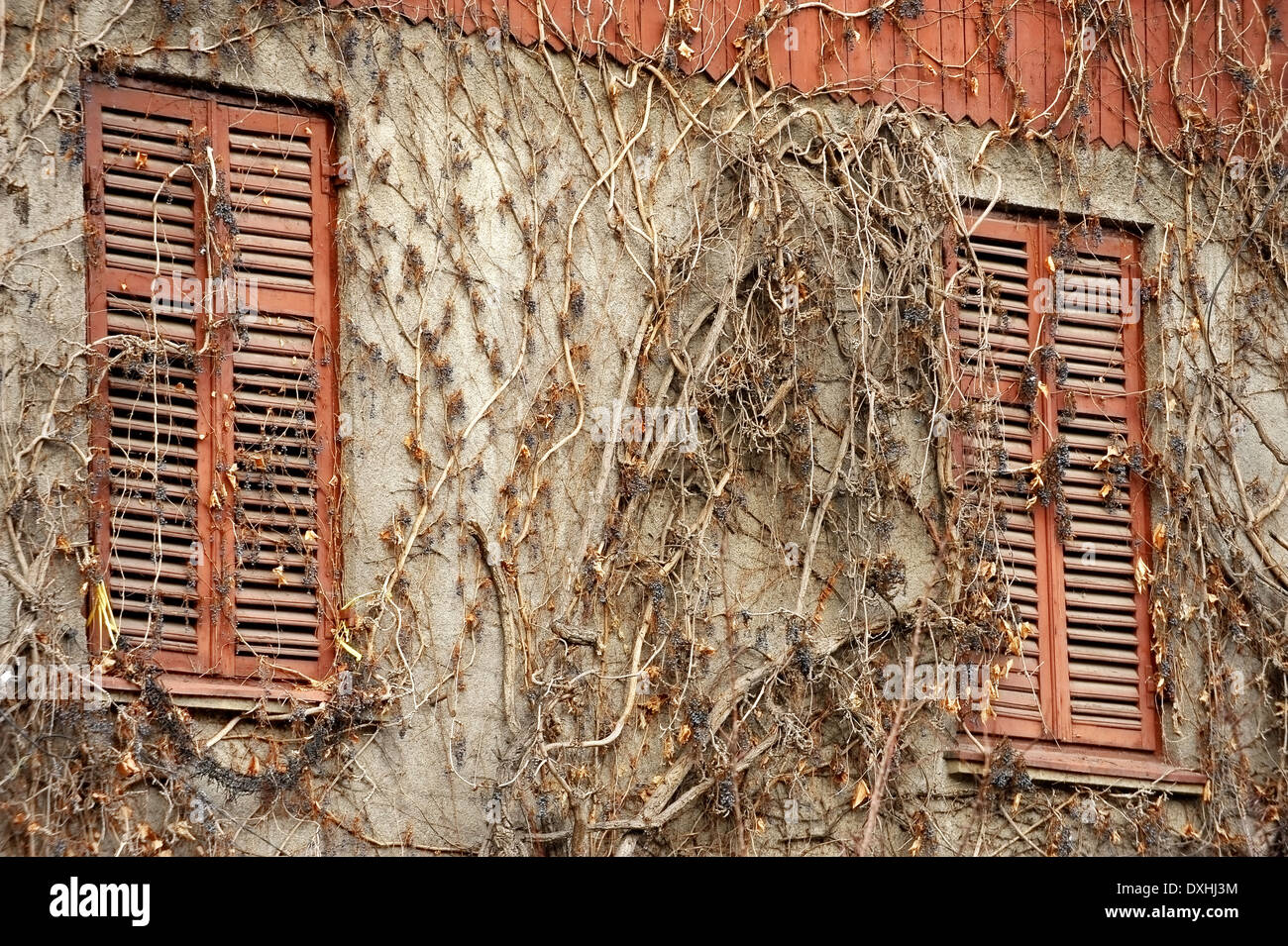 Casa abbandonata dettaglio con le vecchie finestre in legno e persiane chiuse Foto Stock
