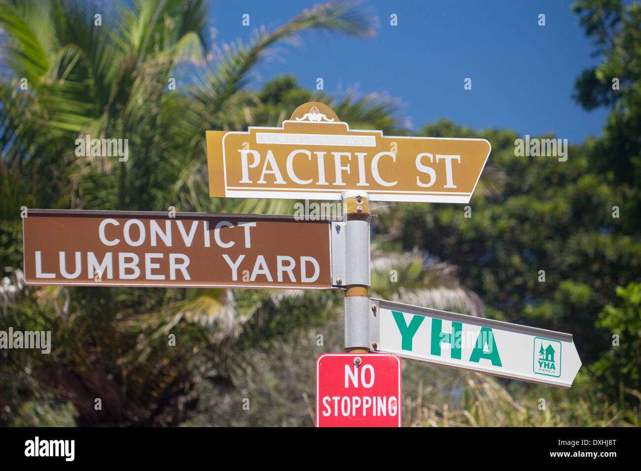 Pacific Street, punire deposito di legname e YHA segni in street Newcastle New South Wales NSW Australia Foto Stock