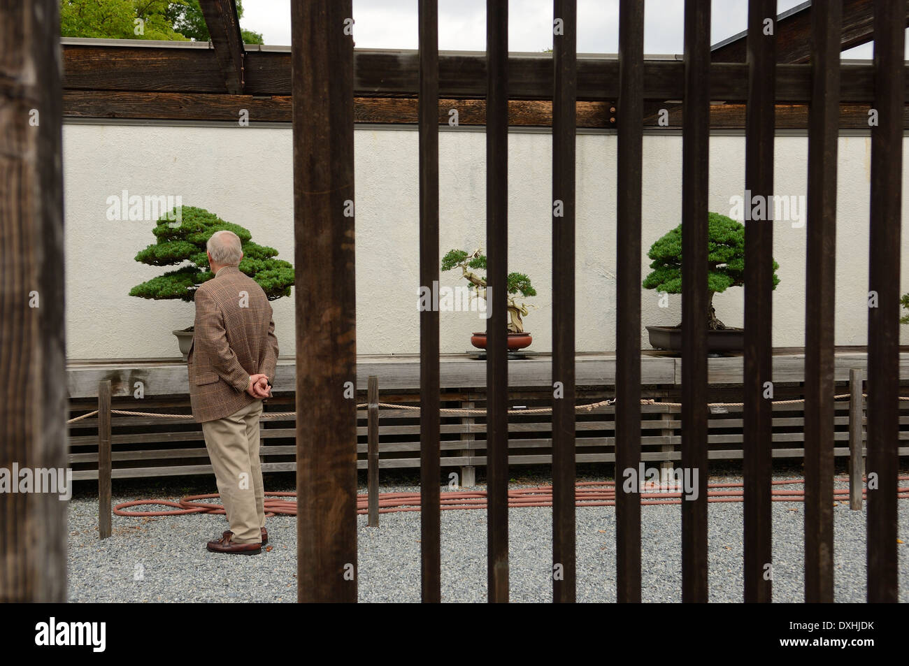 Il National Bonsai & Penjing Museum presso la US National Arboretum. Washington DC. Stati Uniti d'America Foto Stock
