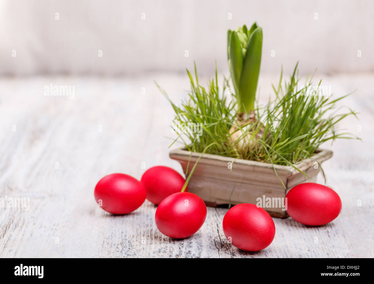 Decorazione di pasqua con giacinto e uova rosso su lavagne bianche Foto Stock