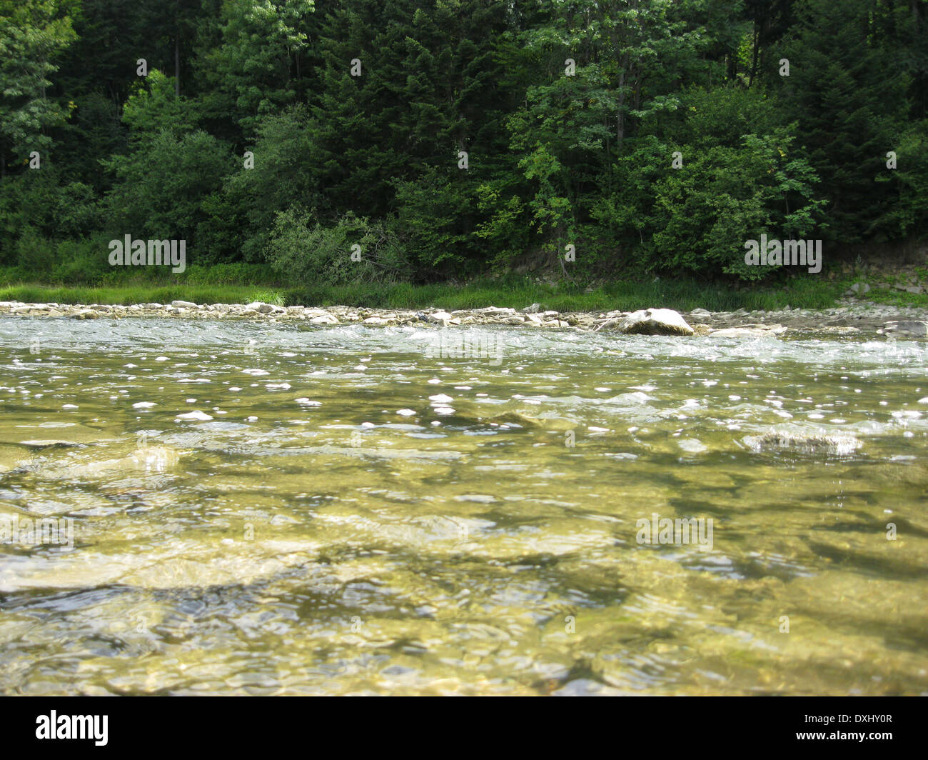 Bellissimo paesaggio con la velocità di acqua nel fiume di montagna Foto Stock