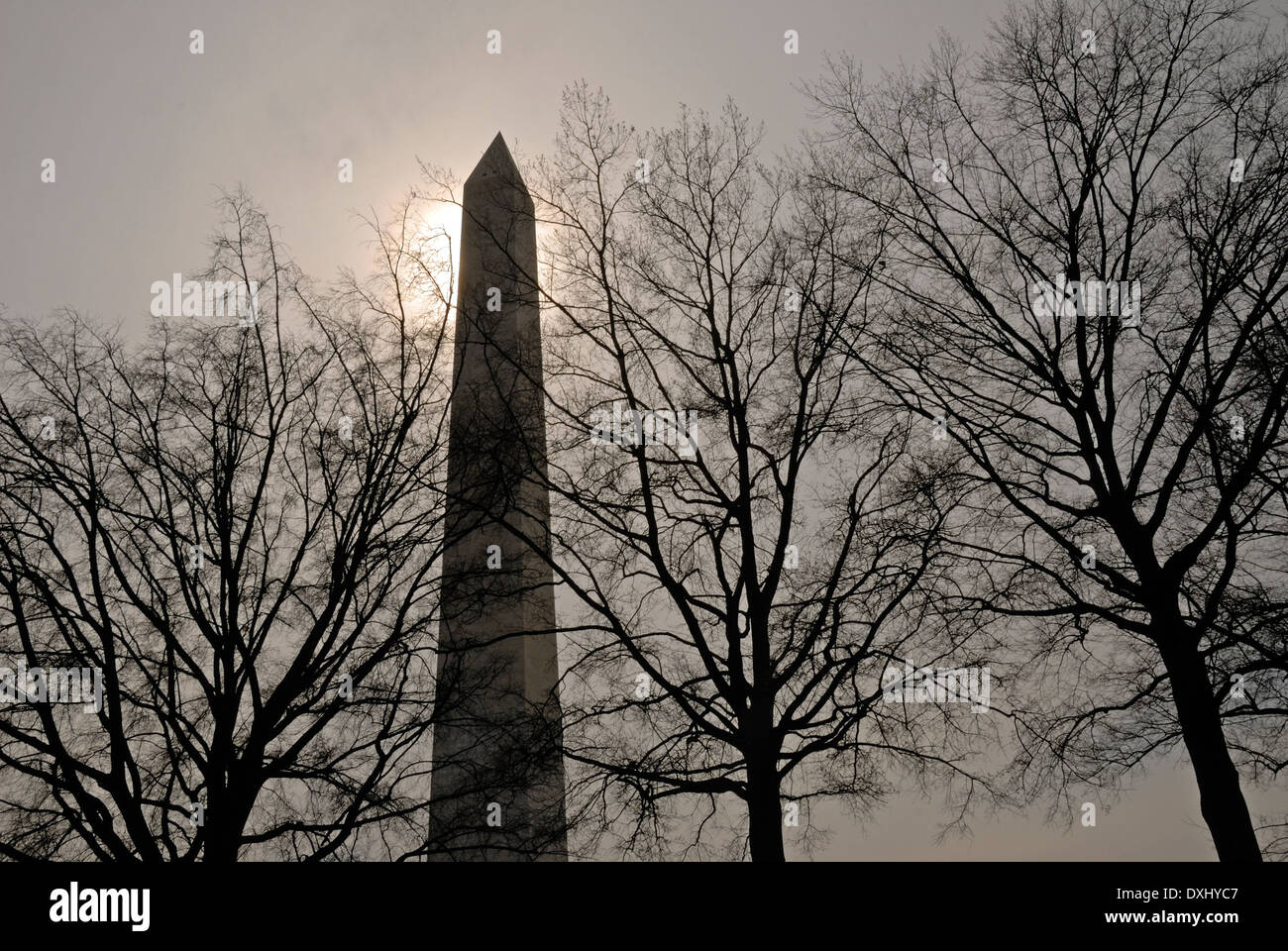Il Monumento a Washington durante la fioritura dei ciliegi tempo. Foto Stock
