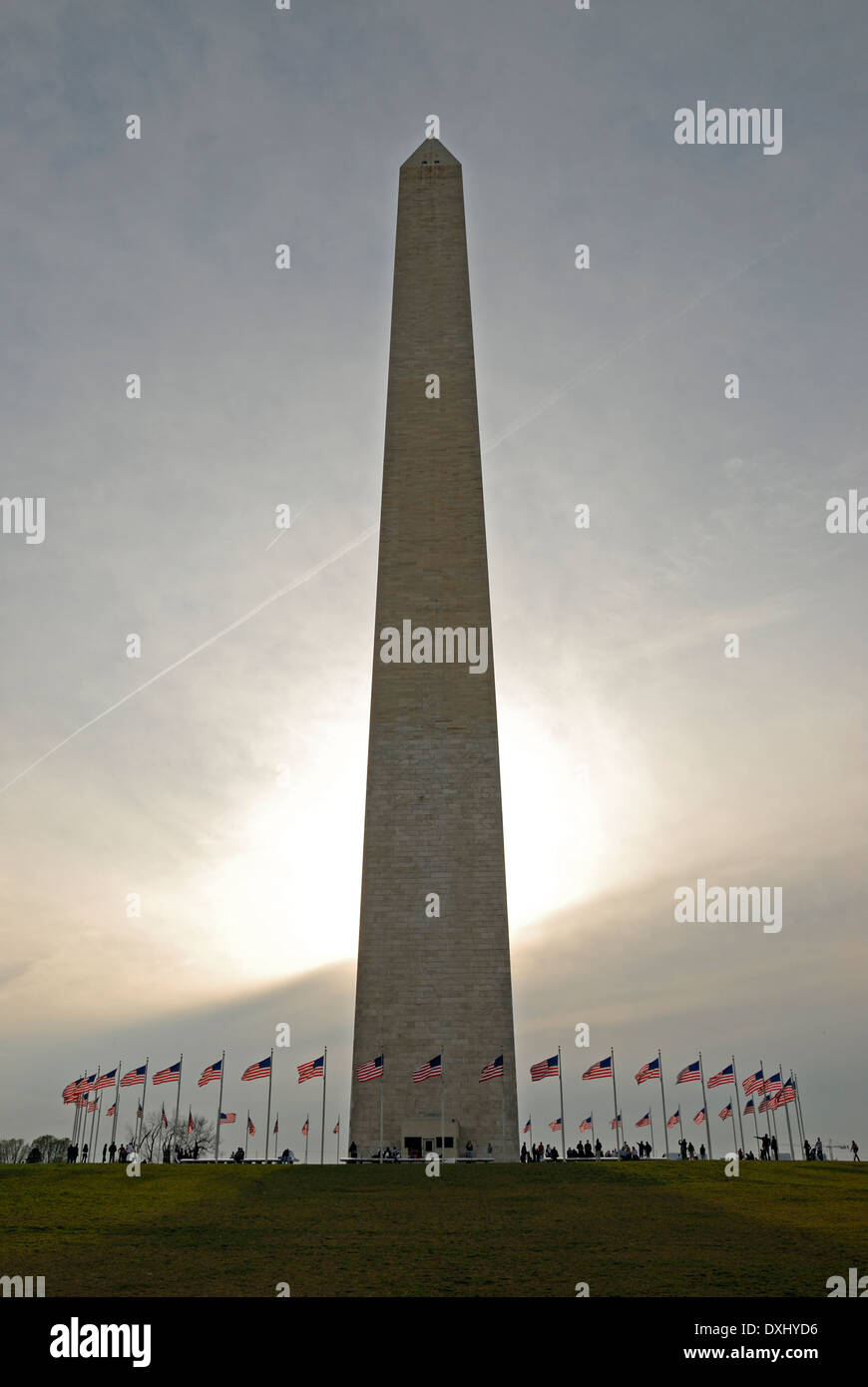 Il Monumento a Washington durante la fioritura dei ciliegi tempo. Foto Stock