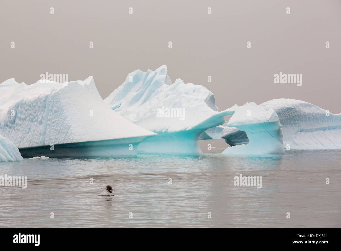 Iceberg in prossimita' Curverville isola sulla penisola Antartica, che è uno dei più veloci tra luoghi di riscaldamento del pianeta, Foto Stock