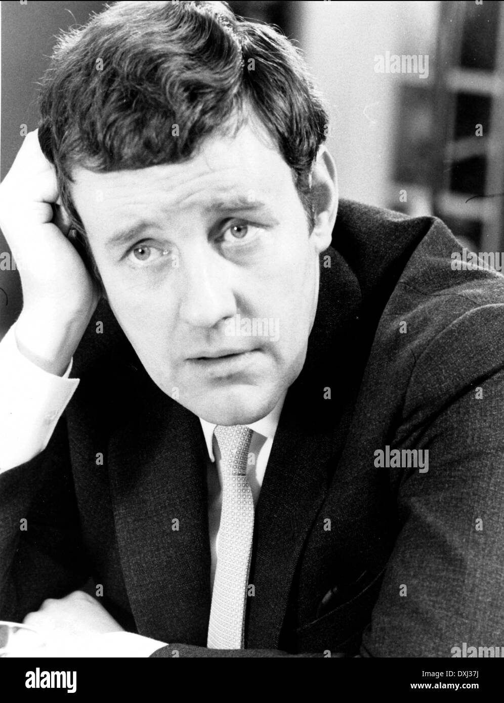 TUTTO IL SENSO FINO Foto Stock