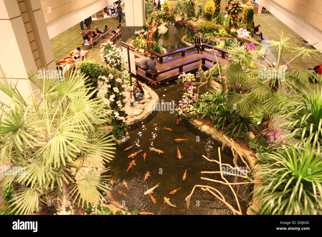 L'Aeroporto Changi di Singapore Foto Stock